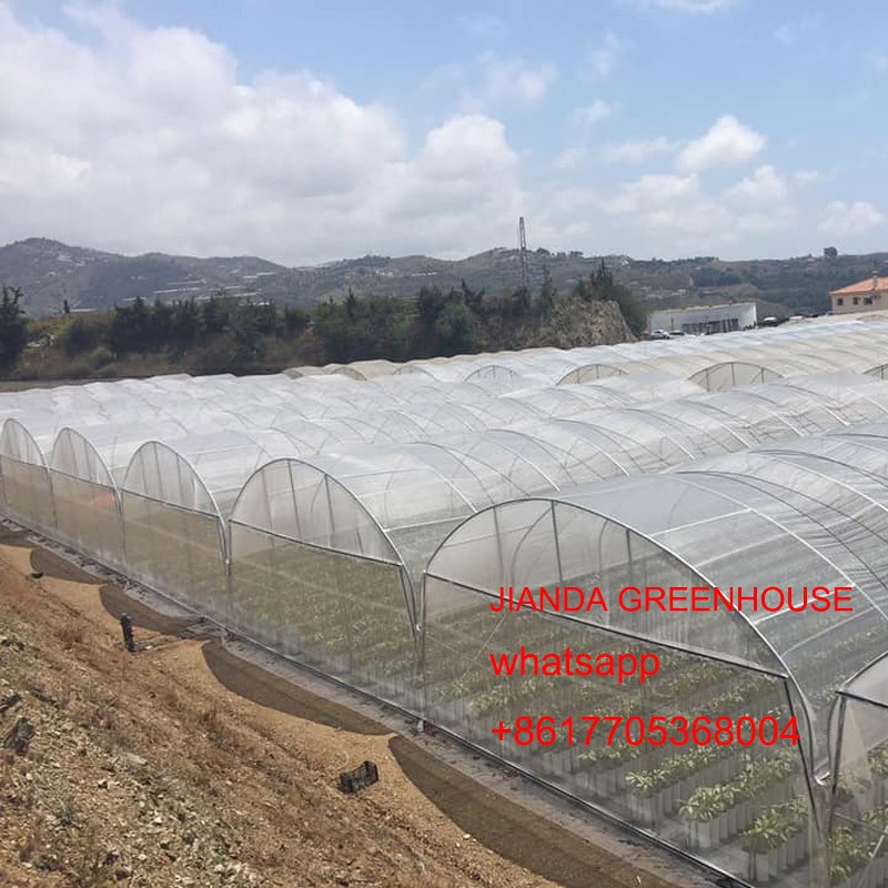 poly greenhouse poly greenhouse