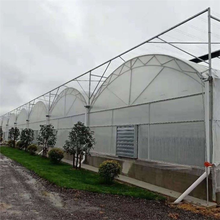 Double Layer Film Greenhouse
