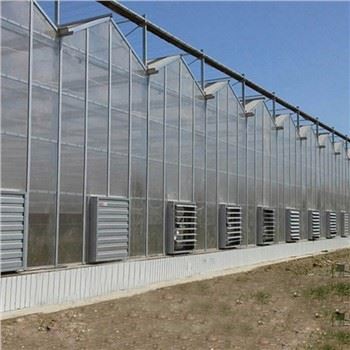 Kiina Venlo Polykarbonaatti kasvihuone kastelujärjestelmällä