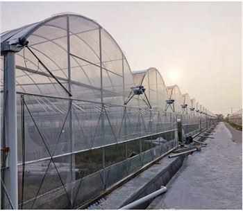 Yksikerroksiset maatalouskasvihuoneet