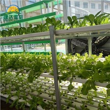 Sisäsalaatin kasvatusjärjestelmä