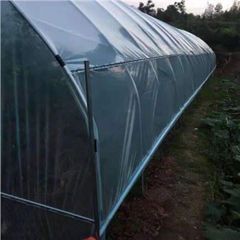 Mini Tunnelin kasvihuonehinta