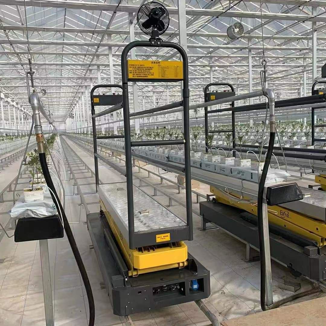 Auton poiminta kasvihuonekasviksi