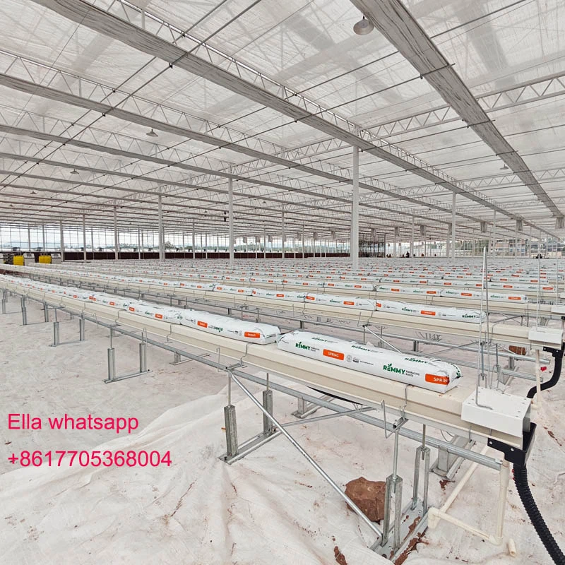 agro greenhouse agro greenhouse